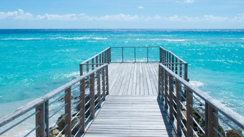 Luxury Beachfront Apartments, photograph 5