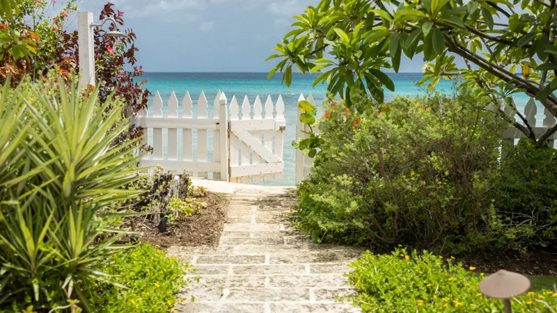 Hibiscus Villa & Cottage, photograph 6