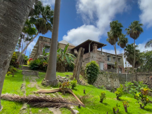 Apes Hill Great Estate Barbados