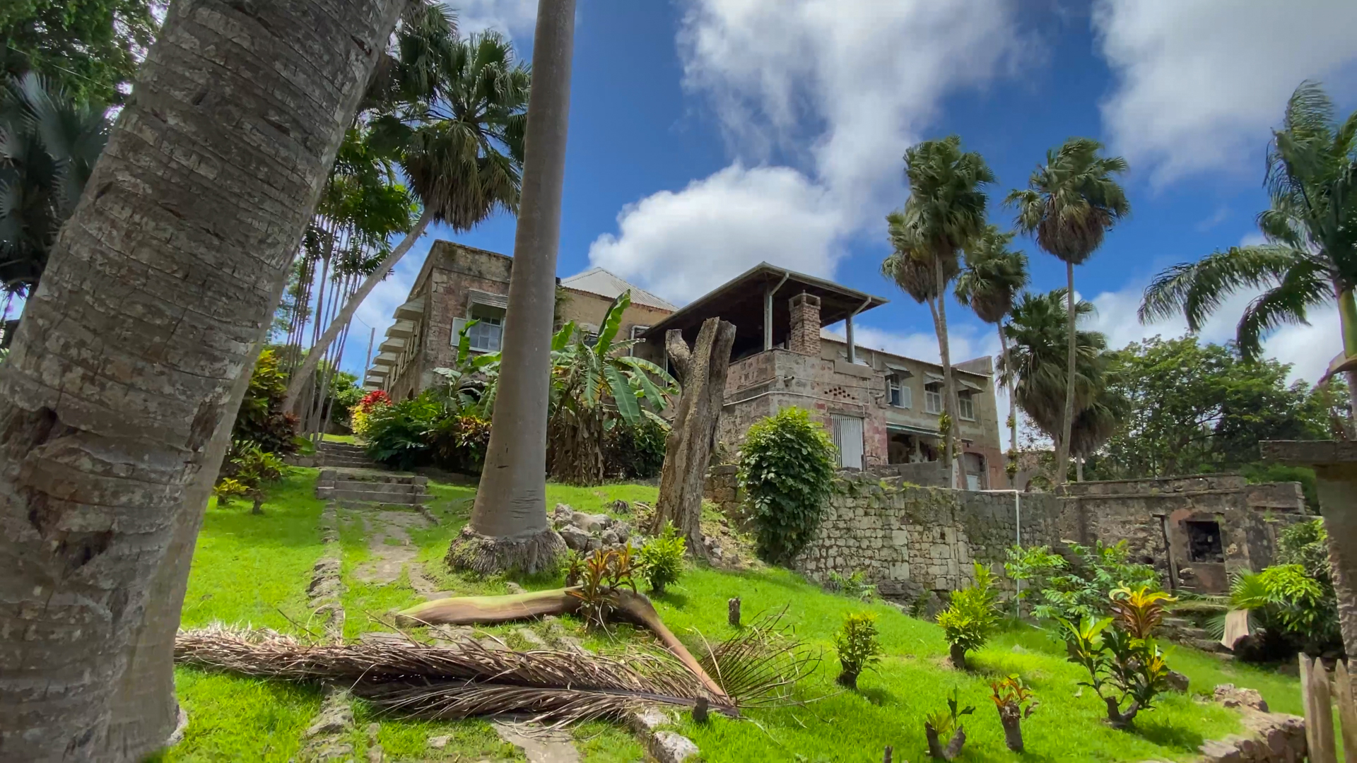 Apes Hill Great Estate Barbados