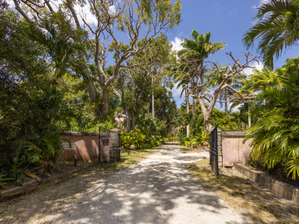 Lancaster Great House Driveway View with Green Lush Tropical Gardens