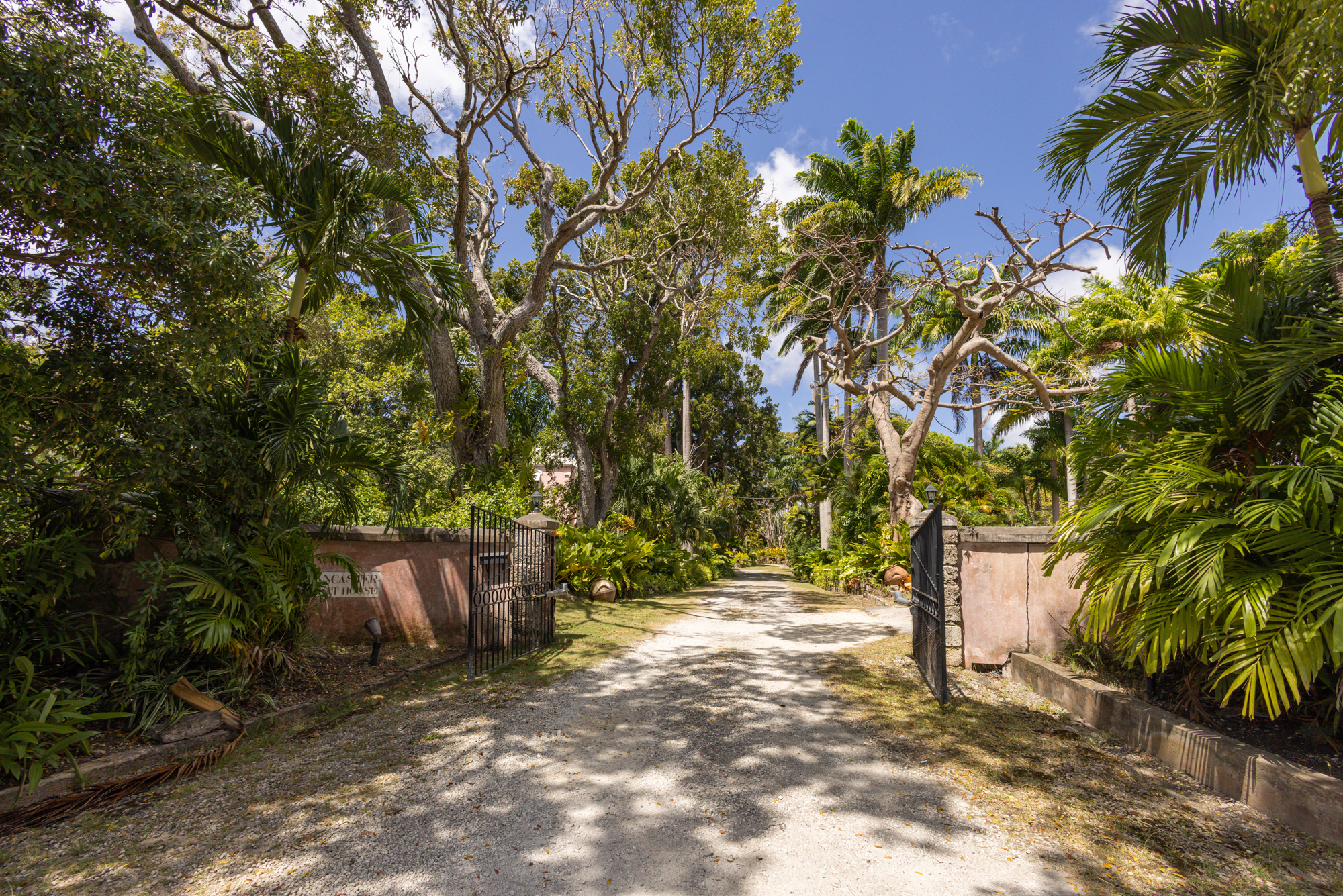 Lancaster Great House Driveway View with Green Lush Tropical Gardens