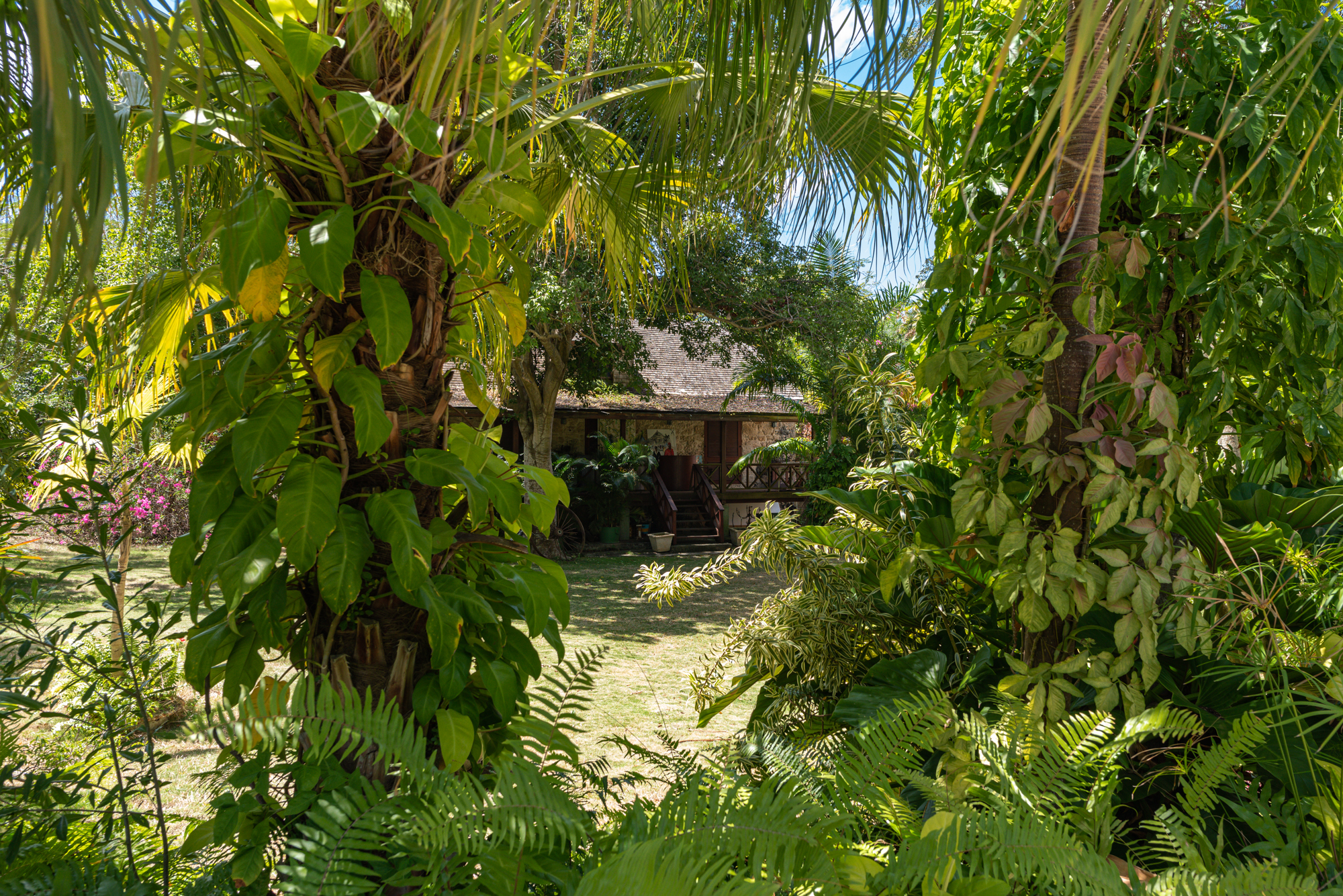 Lancaster Great House cottage surrounded by tropical lush gardens