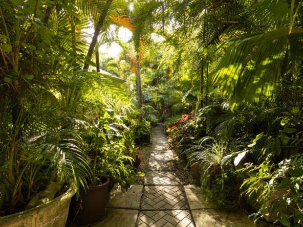 Lancaster Great House tropical lush gardens