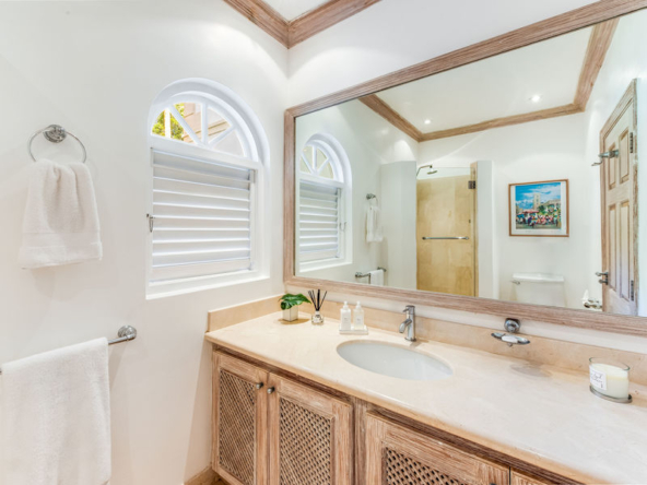 barbados-house for sale tamarind villa luxury barbados real estate guest bathroom