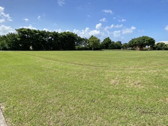 land for sale west coast barbados apes hill polo estate