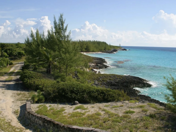 whale-cay-the-bahamas-private-island-for-sale-caribbean
