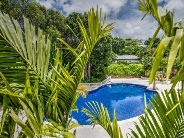 swimming pool at holiday home Villa One Greentails, Barbados