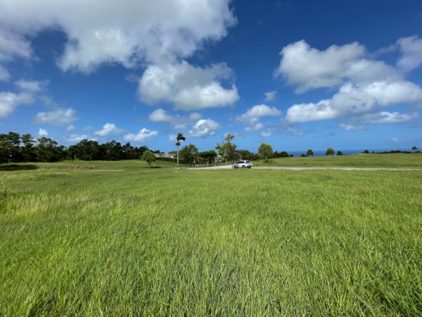 Land for sale at Apes Hill Club Barbados Cabbage Tree Green J19