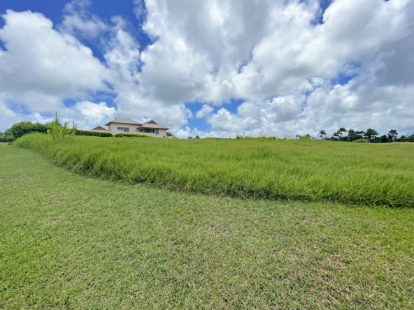 Land for sale in Barbados Apes Hill Cabbage Tree Green J11