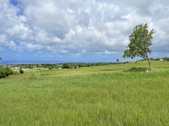 Land for sale in Barbados Apes Hill Cabbage Tree Green J11
