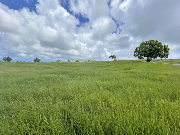Land for sale in Barbados, Cabbage Tree Green J23, Apes Hill Club