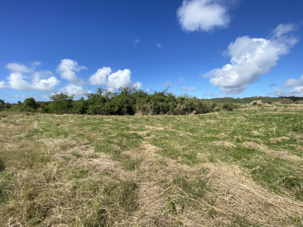 Find your sanctuary on this serene Barbados land, where peace and privacy are paramount. Lancaster Lot 1C awaits