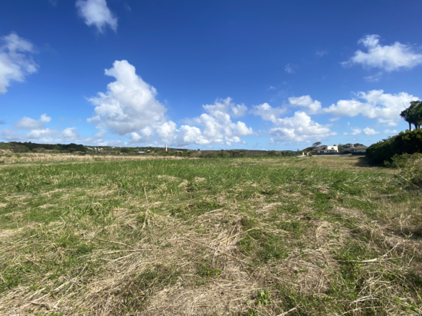 Find your sanctuary on this serene Barbados land, where peace and privacy are paramount. Lancaster Lot 1C awaits