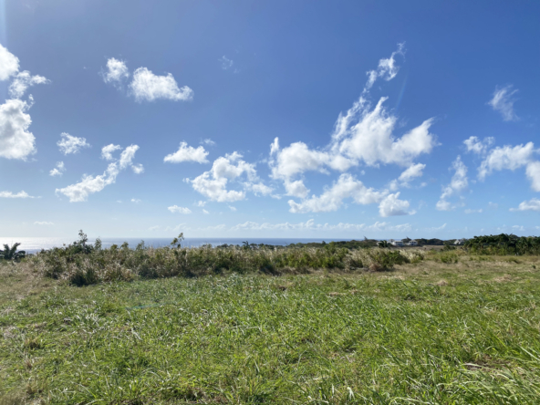 Detail meets potential at Lancaster Lot 1C. Envision your future amidst the lush, natural landscape of Barbados