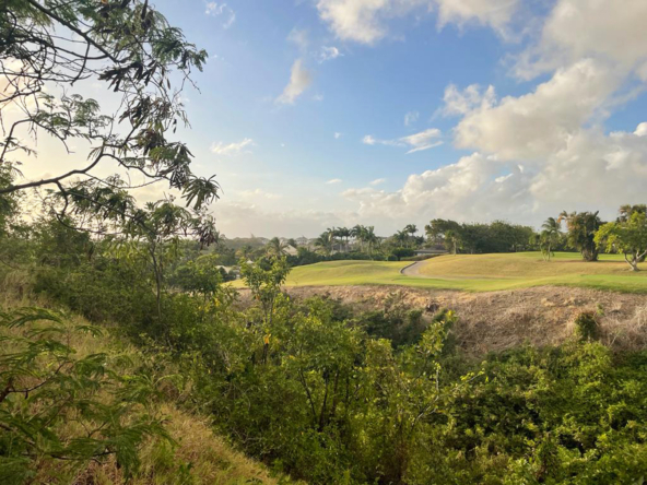 Detail meets potential at Lancaster Lot 1C. Envision your future amidst the lush, natural landscape of Barbados