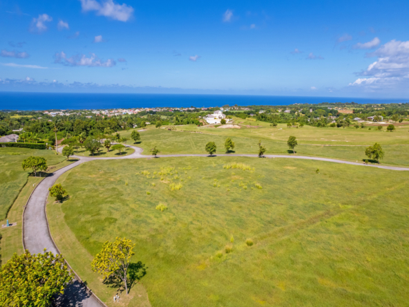 Land for Sale in Barbados - Cabbage Tree Green J22 at Apes Hill Club