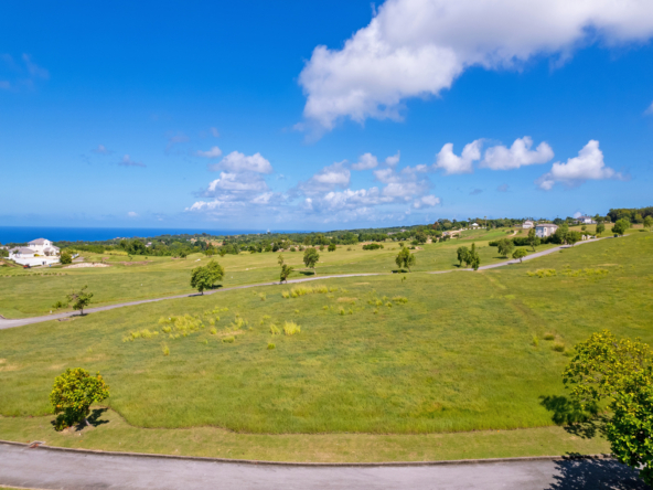 Land for Sale in Barbados - Cabbage Tree Green J22 at Apes Hill Club