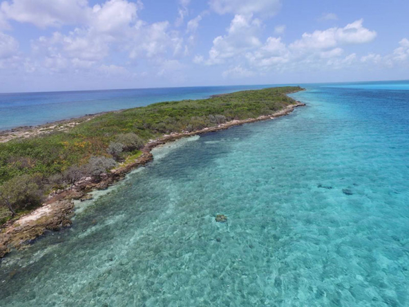 Island for Sale in the Bahamas - North Pimlico Island | One Caribbean ...