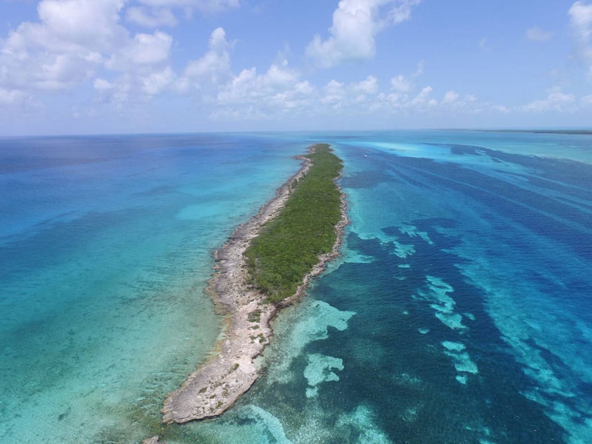 Island for Sale in the Bahamas - North Pimlico Island | One Caribbean ...