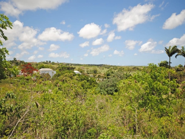 Lot 10 & 10A - expansive parcel of land westmoreland