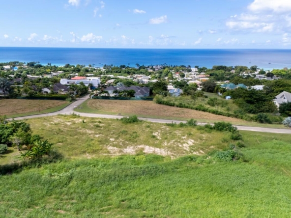 An image showcasing a prime peace of land in Carlton View Estate, nestled in a tranquil cul-de-sac surrounded by lush greenery and upscale properties.